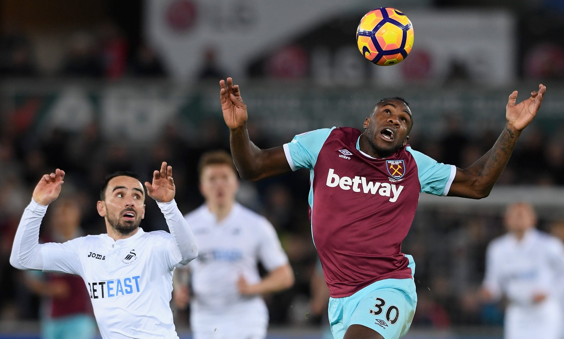 健康和全面 健康和全面